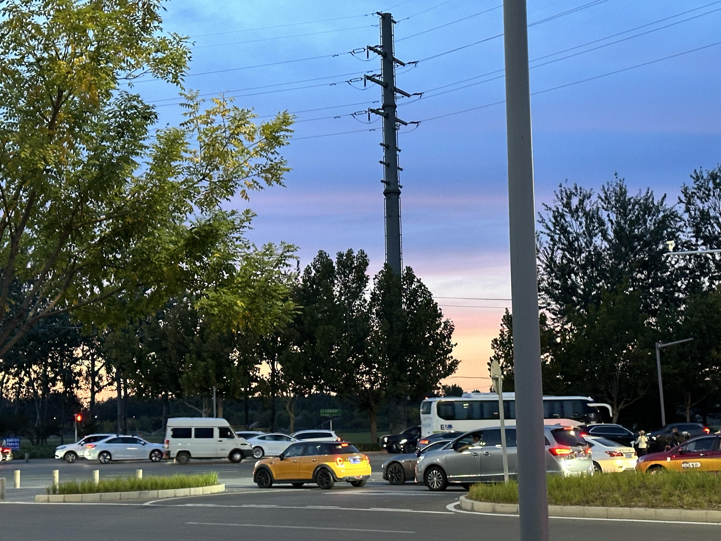 蓝紫暮色下道路中的车辆与树木